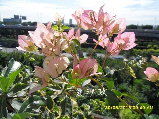 �ٷ�����