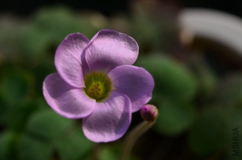 ����20120923 008.JPG