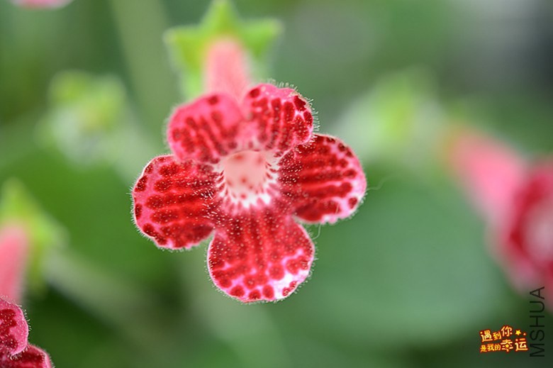 ��Ƭ 006_����.jpg