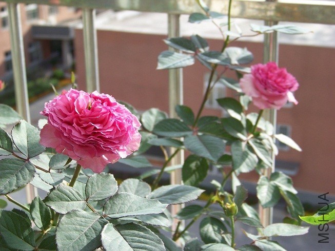 QQͼƬ20130915152949.jpg