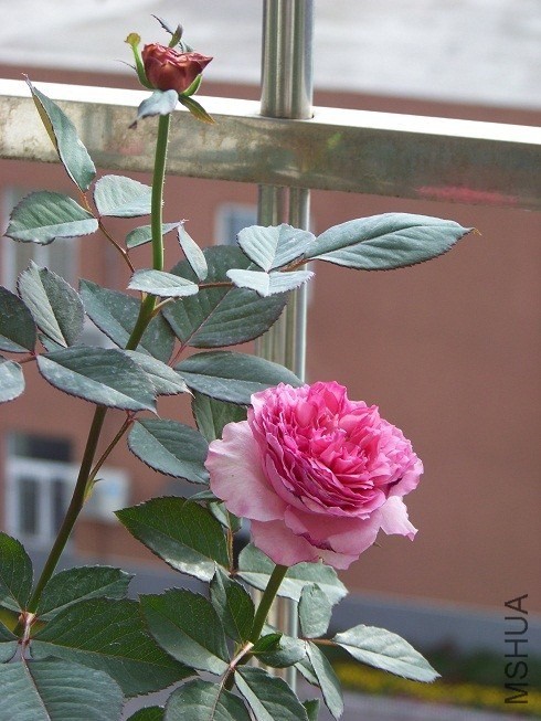 QQͼƬ20130915152957.jpg