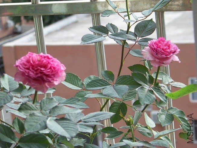 QQͼƬ20130915153000.jpg