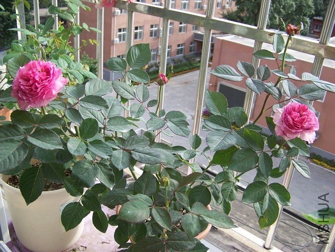 QQͼƬ20130915152952.jpg