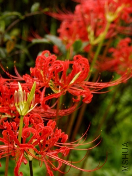 QQͼƬ20130915223853.jpg