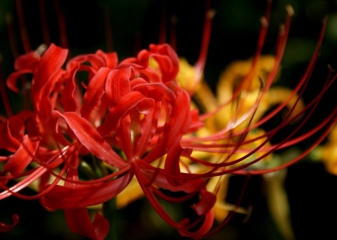 QQͼƬ20130915224344.jpg