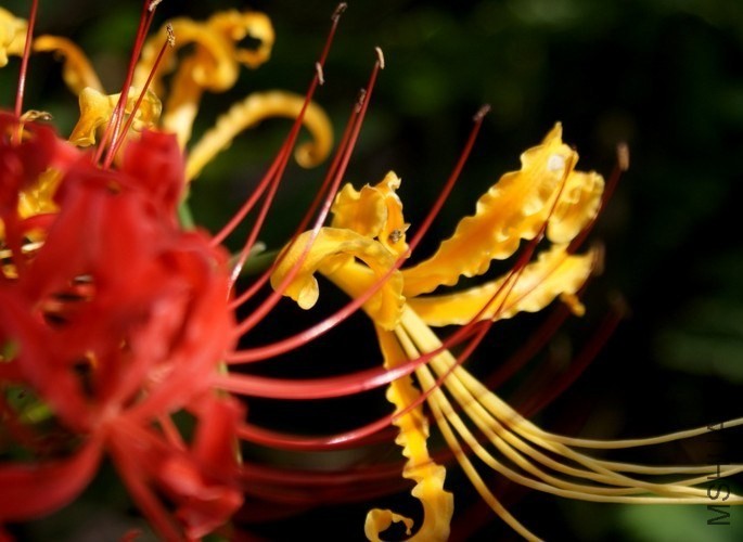 QQͼƬ20130915224428.jpg