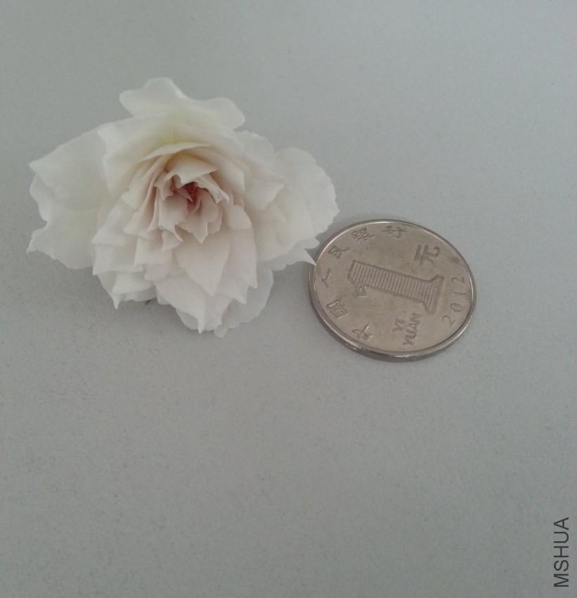 20130904_121810-n.jpg