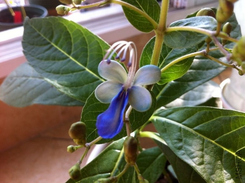 QQͼƬ20130916102619.jpg