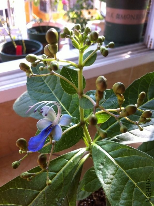 QQͼƬ20130916102627.jpg