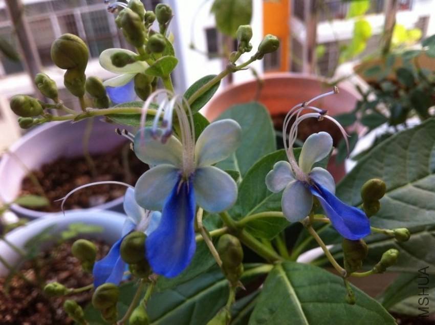 QQͼƬ20130916103006.jpg