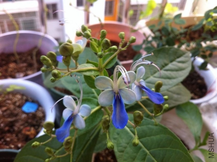 QQͼƬ20130916103010.jpg