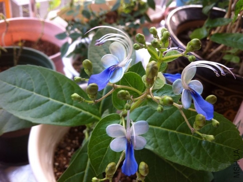 QQͼƬ20130916103013.jpg
