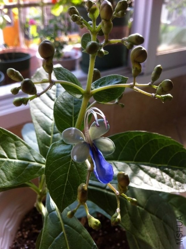 QQͼƬ20130916103025.jpg