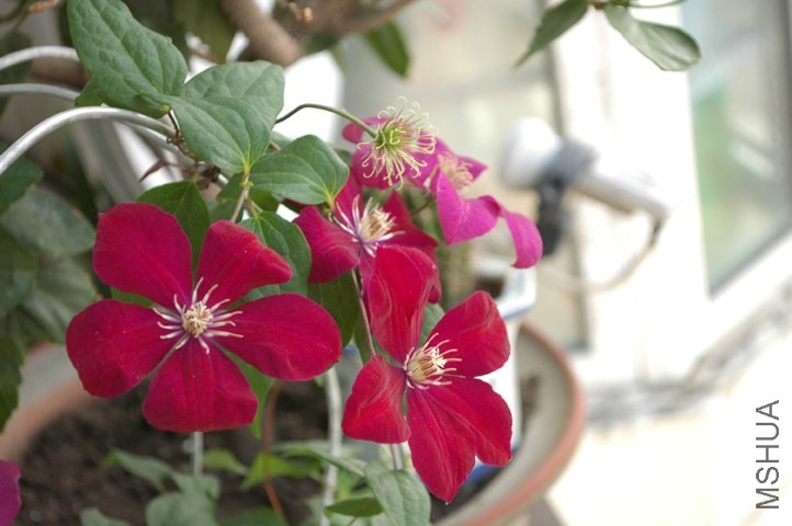 DSC_5500.jpg
