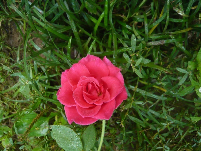 C``XN84NDL(3X03Q0RF}%)F.jpg