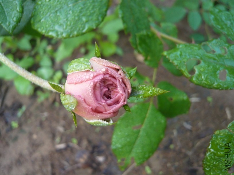 2]273[ASRHAC0X1_D$CNAUK.jpg