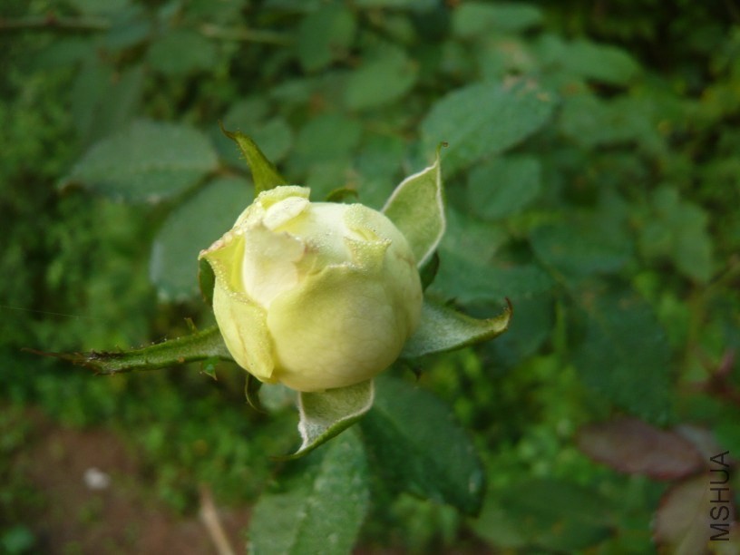 KB64KDC]P85Z{CTK6SCBB_F.jpg