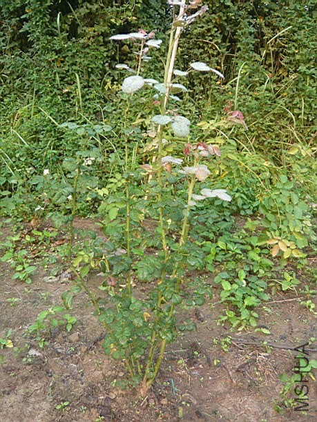 WQS$(V04T9}FH5M{6JGQTQ4.jpg