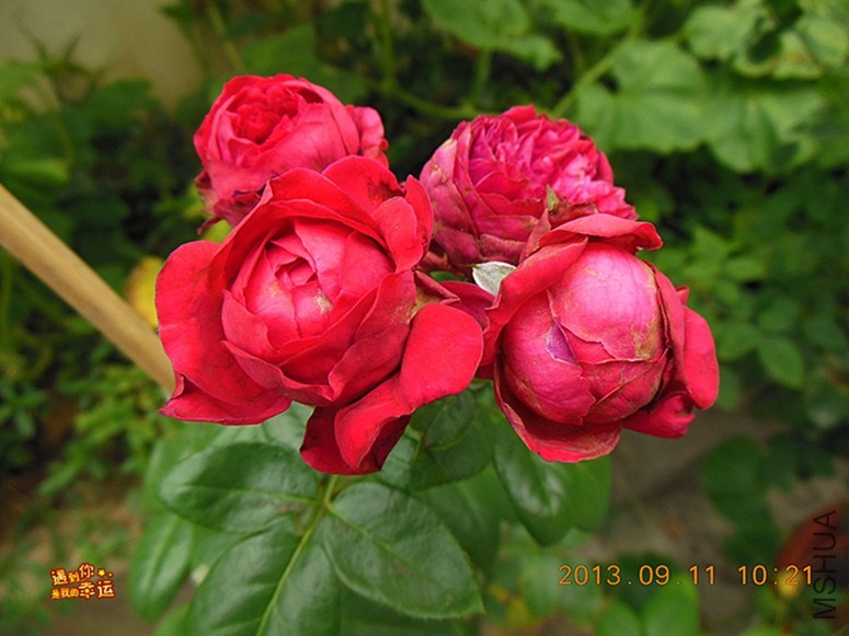 ��Ƭ 002_����.jpg