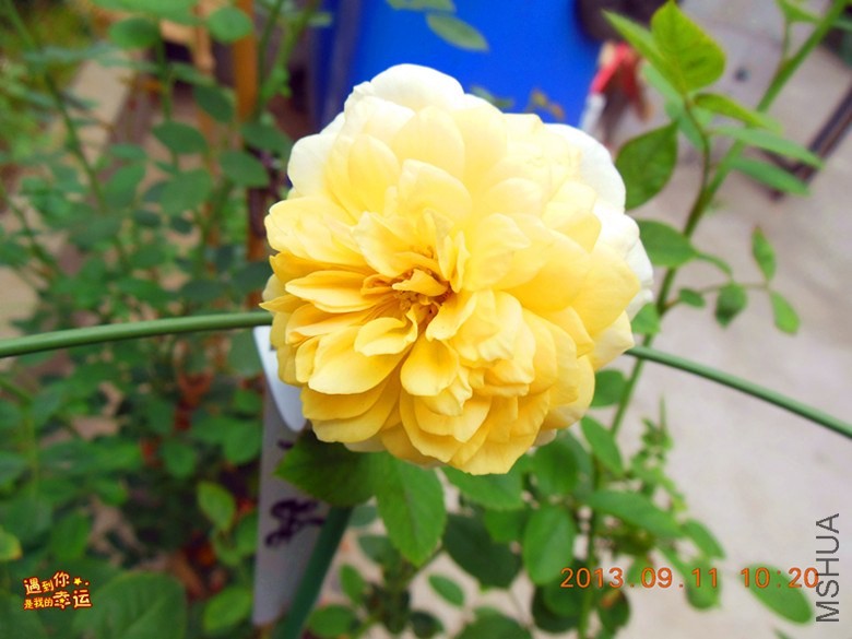 ��Ƭ 003_����.jpg