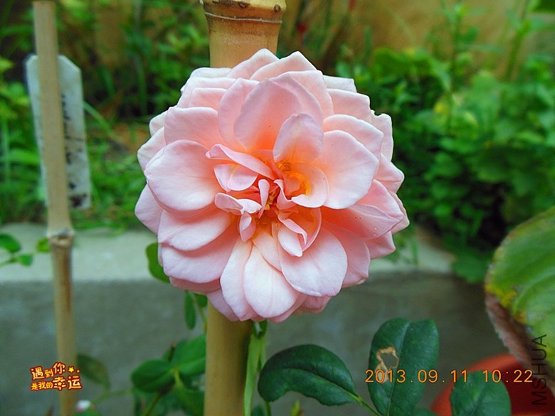 ��Ƭ 004_����.jpg