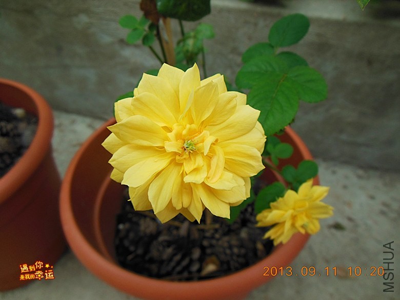 ��Ƭ 005_����.jpg