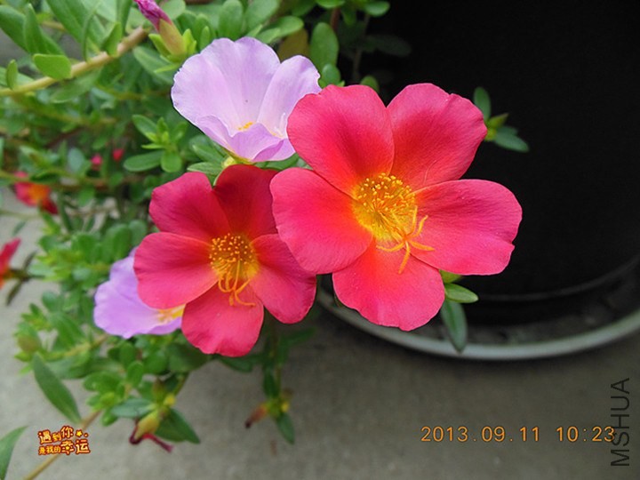 ��Ƭ 015_����.jpg