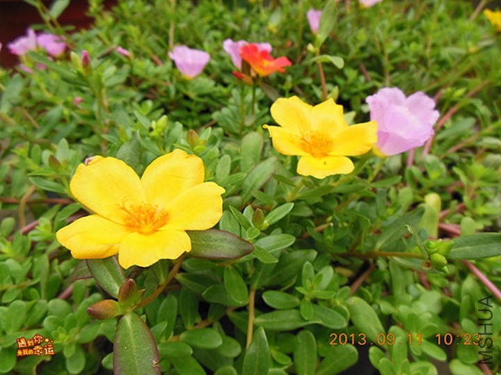 ��Ƭ 017_����.jpg