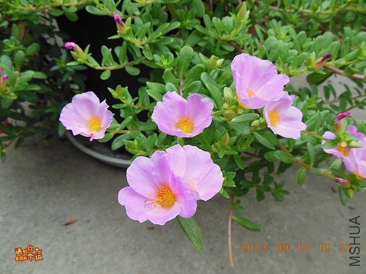 ��Ƭ 019_����.jpg