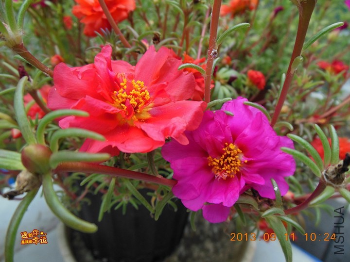 ��Ƭ 021_����.jpg