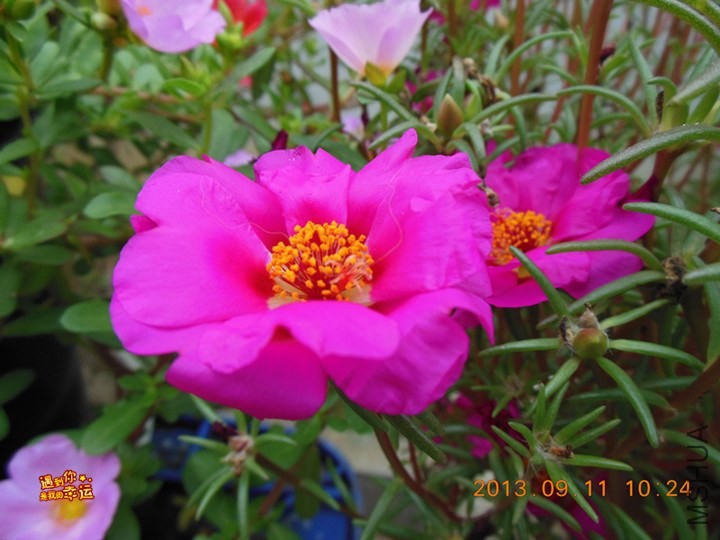 ��Ƭ 022_����.jpg