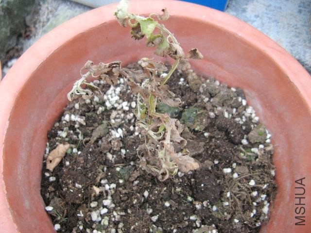 2013,5 326.jpg