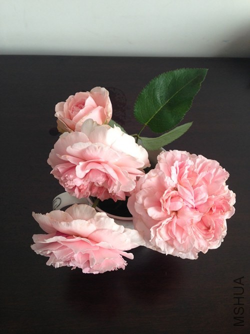 ��Ƭ 002_����.jpg
