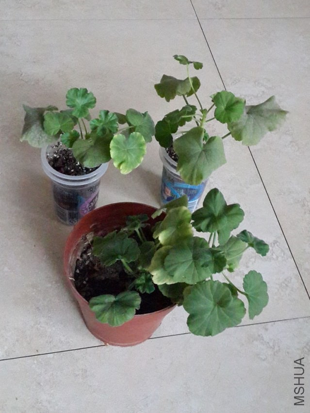 20130917_091111.jpg