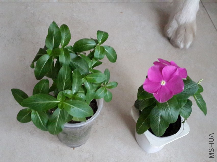 20130917_091219.jpg