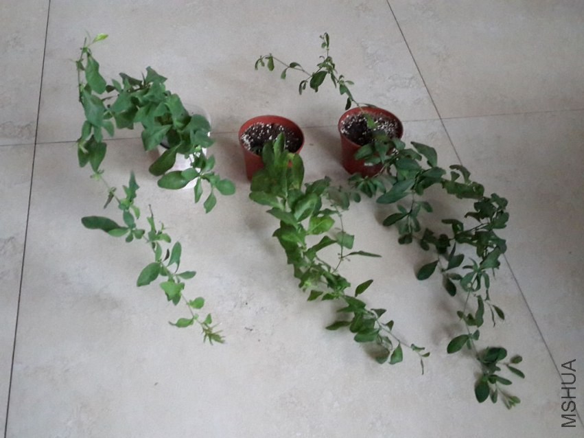20130917_091351.jpg