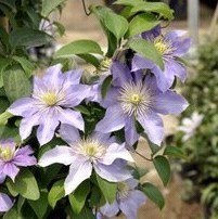 QQͼƬ20130917102243.jpg