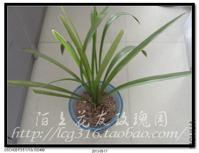 nEO_IMG_DSC05369.jpg