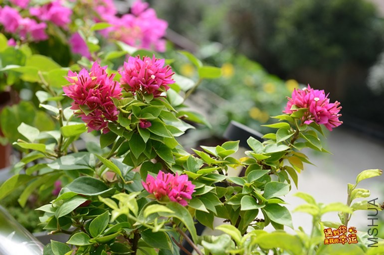 ��Ƭ 034_����.jpg