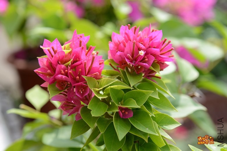 ��Ƭ 036_����.jpg