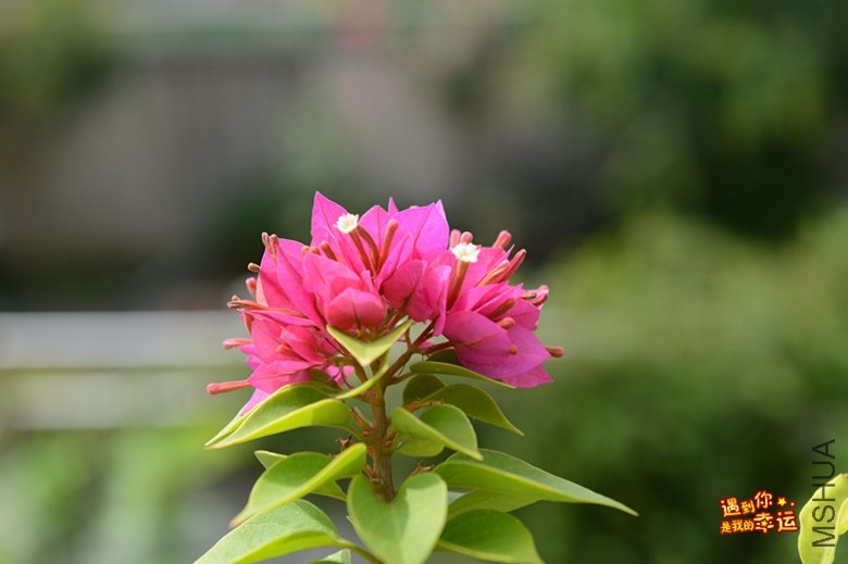 ��Ƭ 038_����.jpg