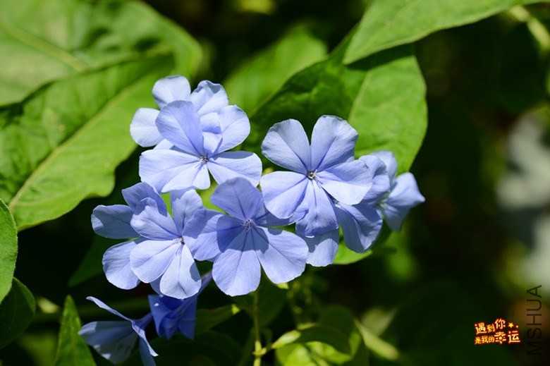 ��Ƭ 117_����.jpg