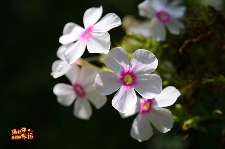 ��Ƭ 158_����.jpg