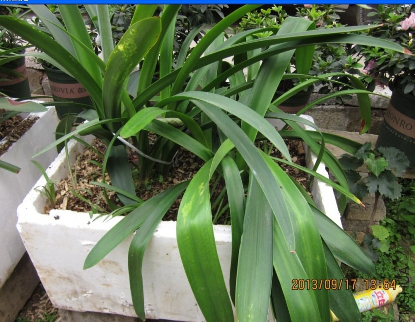 QQͼƬ20130917154029.jpg