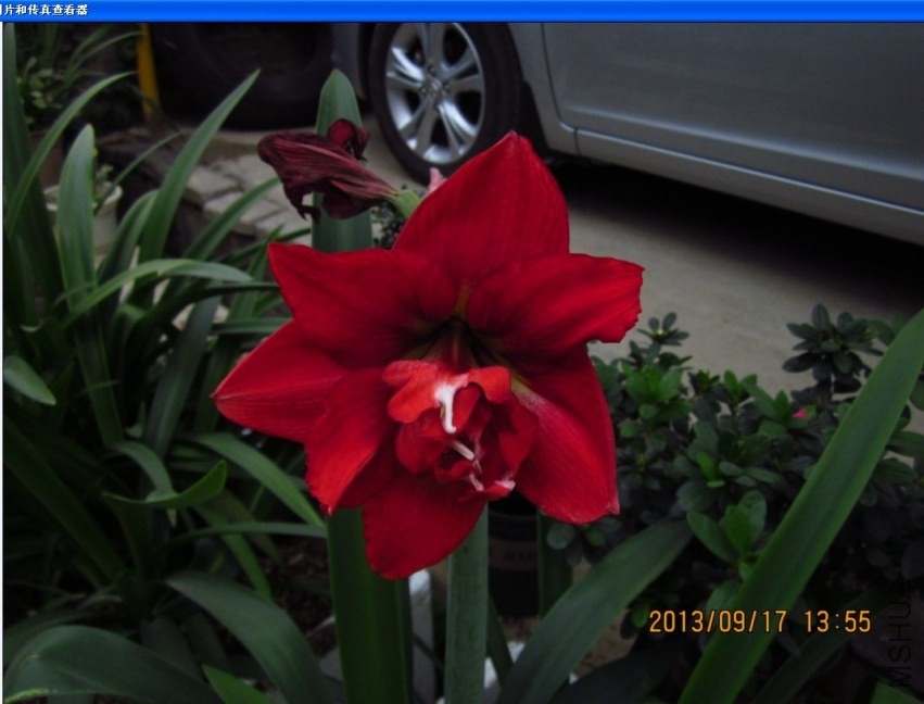 QQͼƬ20130917154033.jpg