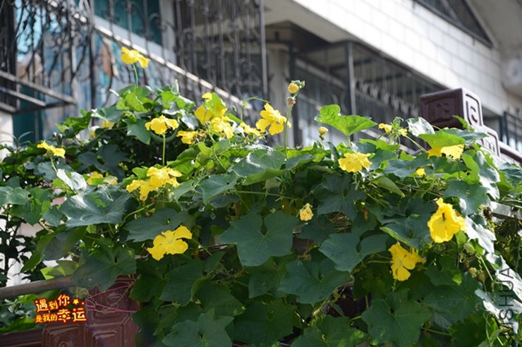 ��Ƭ 173_����.jpg