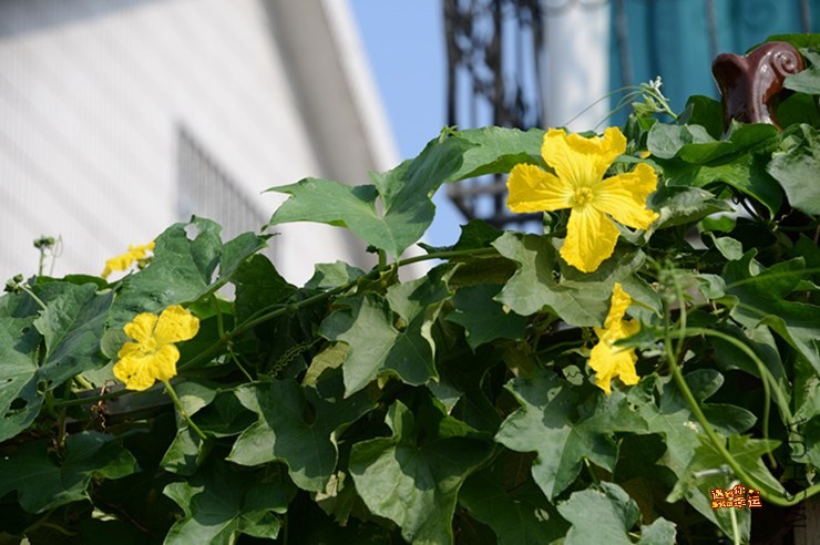 ��Ƭ 174_����.jpg