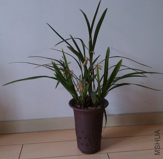 QQ��ͼ20130917162016.jpg