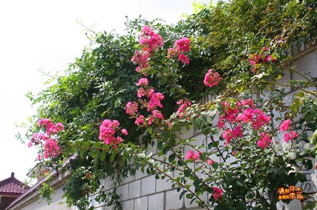 ��Ƭ 032_����.jpg