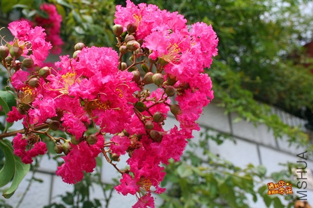 ��Ƭ 034_����.jpg